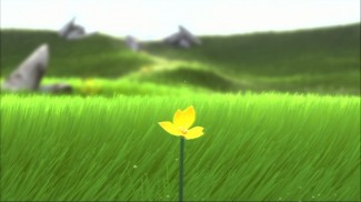 flower-2