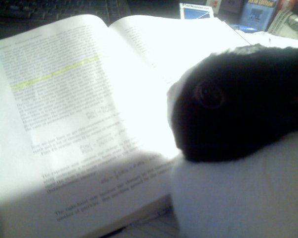 17_511877251802_5387_n