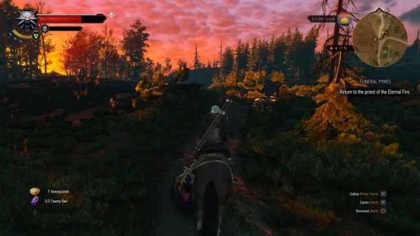 2863627-witcher+-+beautiful+sunsets+awful+corpses51