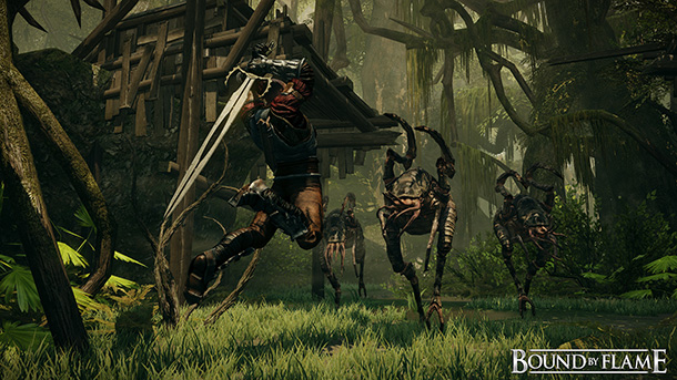 Bound by Flame E3 Screen