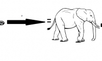 bullet elephant