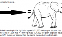 bullet elephant
