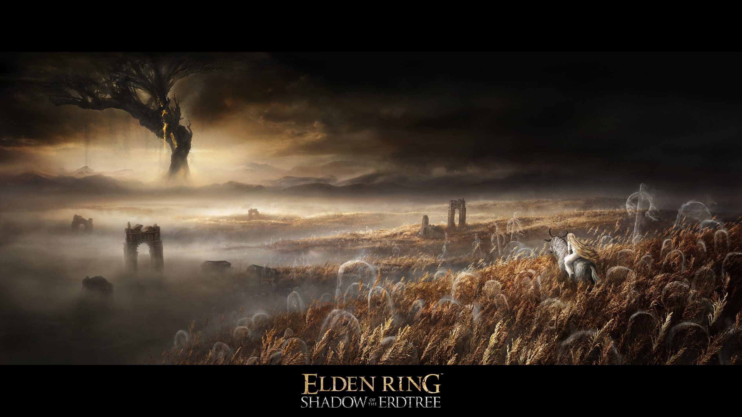 Elden Ring officially getting DLC