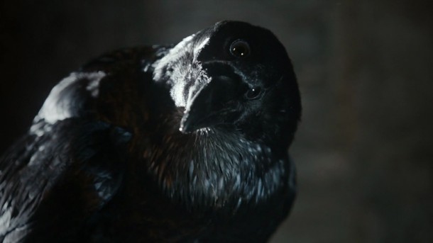 game-of-thrones-crow