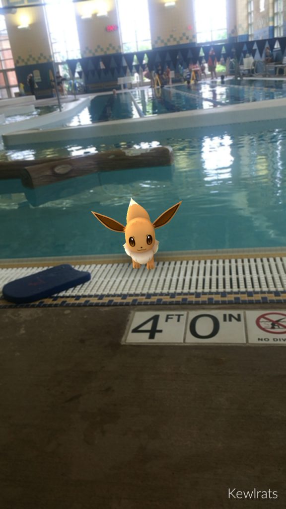 An Eevee caught while my daughter was waiting for her swim class to start