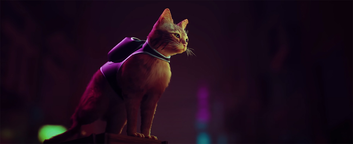 Annapurna’s Stray has us purring for next gen