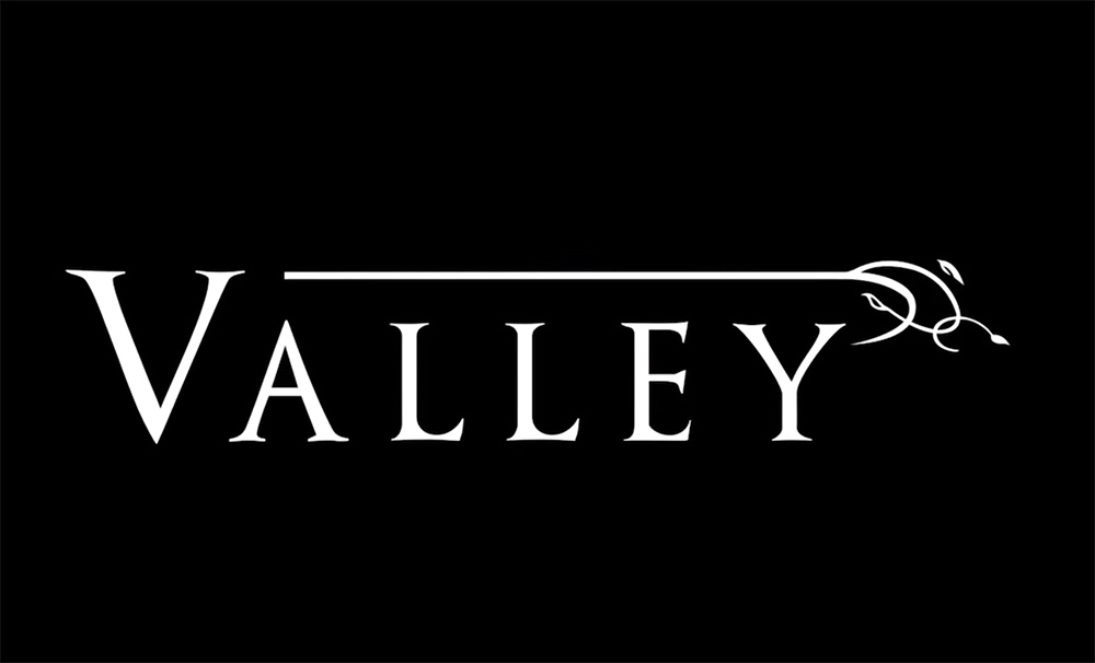 Free movement game Valley coming to Switch in March